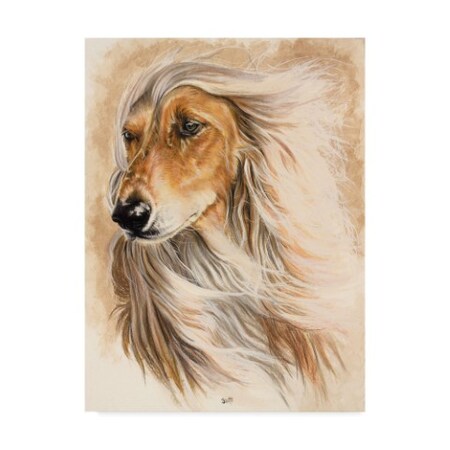 Barbara Keith 'Afghan Hound' Canvas Art,18x24